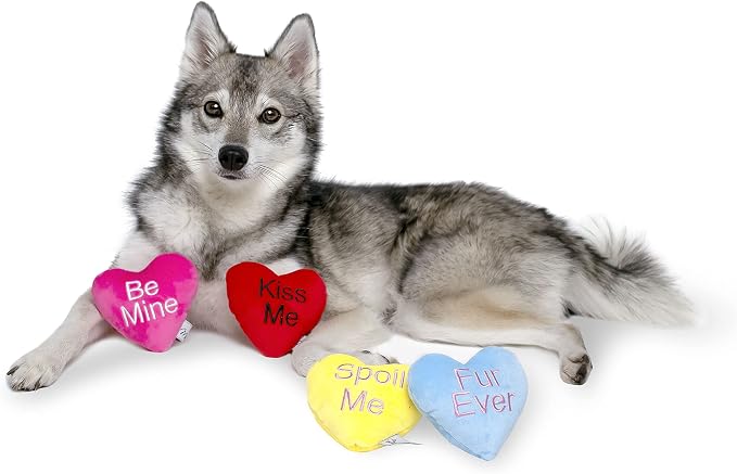 Midlee Candy Heart Valentine's Dog Toy- Set of 4 (Small)
