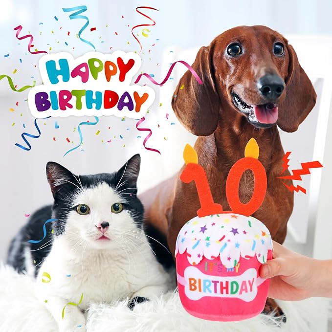 Dansydaisy Dog Birthday Cake Toy Squeaky Plush Toy for Girl Boy Gifts, Chew Accessories for Dog Birthday Party Decor Favor for Large, Medium and Small Dogs(10th,Pink)