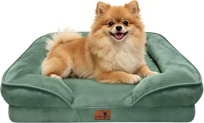 Spotted Play Orthopedic Dog Bed with Sides - Sofa Beds for Small Dogs, Supportive Foam Pet Couch Bed with Washable Removable Cover, Waterproof Lining and Non-Slip Bottom, Green - S