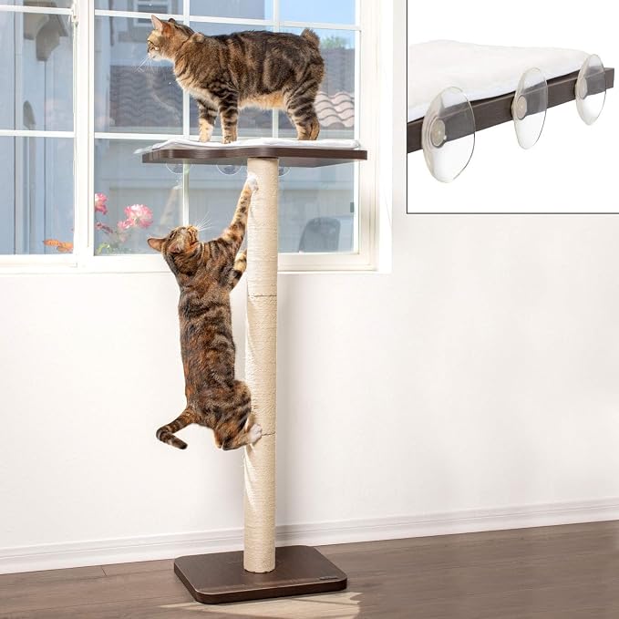 PetFusion Ultimate Cat Window Climbing Perch 45” Tall (Tree Sisal Scratching Posts, Modern Design Simply Suctions to Window. (EASY TO ASSEMBLE) | Tree Sisal Scratching Posts, Modern Design Simply Suctions to Window, Easy to Assemble