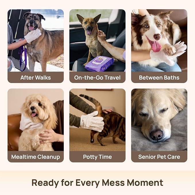 HICC PET Dog Wipes for Dogs & Cats, Glove Design, 18 Count | Fresh Coat Between Baths, Head-to-Tail Grooming, Plant-Based Formula, No-Rinse, Quick Everyday Cleanups, Rose Scent