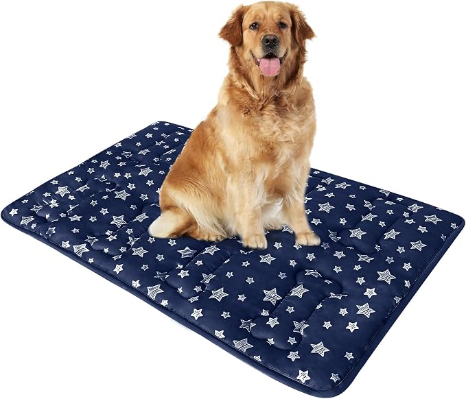 Dog Crate Pad Mat (42" X 28"), Soft Dog Bed Mat with Cute Prints | Personalized Crate Pad, Anti-Slip Bottom, Machine Washable Kennel Pad