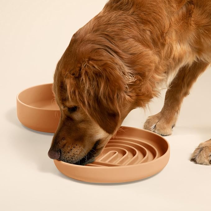 Should We Go? Slow Feeder Dog Bowls - Large Size Silicone Slow Eating Dog Bowl for Puppies & Dogs with Suction Cup -Dishwasher-Safe,Lick Mat Design,Reduces Gulping,for All Breeds,9.5”x1.5”-Terracotta