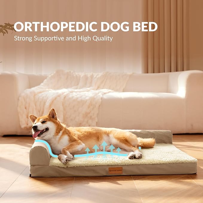 Patas Lague Orthopedic Medium Dog Bed Washable Pet Sofa Bed 30''X20''Beige | 2-Sided Bolster Egg-Crate Foam Dog Couch Medium Size Dogs, Waterproof Removable Washable Cover, Nonskid Bottom Pet Crate Mat