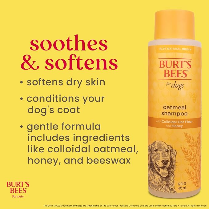 Burts Bees for Pets Oatmeal Dog Shampoo with Honey, 16 Fl Oz, 6-Pack | Soothing colloidal oat flour formula for itchy, sensitive dog skin, pH-balanced and sulfate-free for regular use