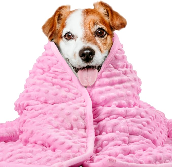 LaSyL Weighted Blanket for Pets | Thunder Blanket for Dogs Anxiety | Premium Soft Minky | Relaxation & Calming & Anti Anxiety | Used in Car, Bed, Couch | Pink, Washable Medium (32"x40")