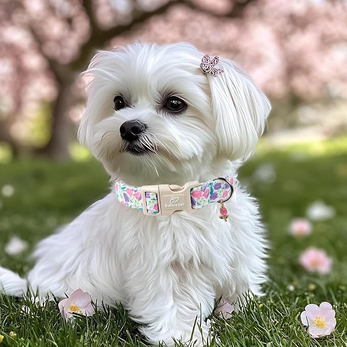 Floral Dog Collar for Small Dogs - Pink Purple Tulips Print Dog Collars, Spring Summer Cute Flower Puppy Collar, Lightweight Adjustable April Holiday Boy Girl Dogs Collars XS