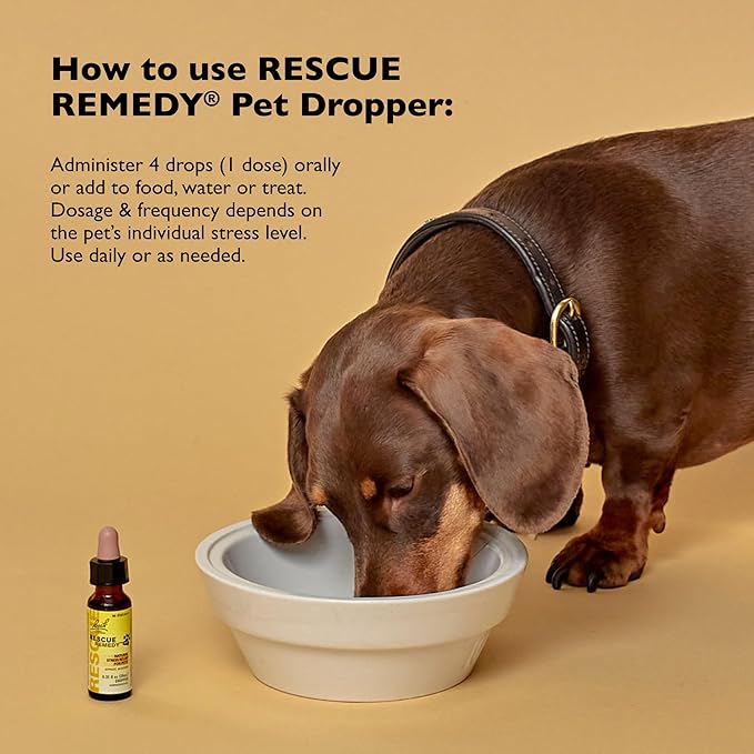 Rescue Remedy Pet Dropper - 20mL - Stress & Tension Support for Dogs & Cats with Bach Natural Flower Essences - Sedative-Free, Homeopathic Liquid Formula - For All Breeds, Ages & Weights