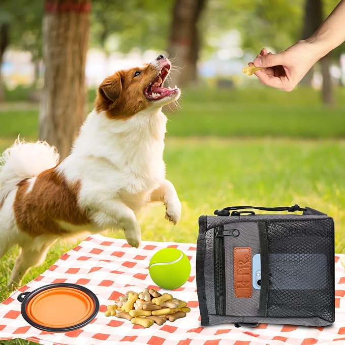 Dog Treat Training Pouch with Built-in Poop Bag Dispenser, Dark Grey | Easily Carries Pet Toys, Kibble, Treats, 3 Ways to Wear, Foldable Silicone Bowl, Quick One-Hand Access for Dog Walks & Hiking