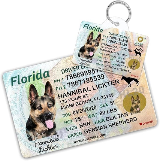 Florida Driver License Custom Dog Tag for Pets and Wallet Card - Personalized Pet ID Tags - Dog Tags for Dogs - Dog ID Tag - Personalized Dog ID Tags - Cat ID Tags - Pet ID Tags for Cats