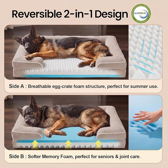 OhGeni Orthopedic Dog Bed Couch Big Cat Sofa for Extra Large Sized Pets with Memory Foam, Machine-Washable Waterproof Removable Cover, Soft Comfortable Fabric, 44-inch (Beige)