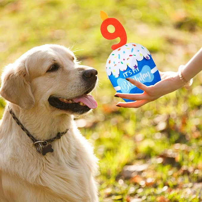 Dansydaisy Dog Birthday Cake Toy Squeaky Plush Toy for Girl Boy Gifts, Chew Accessories for Dog Birthday Party Decor Favor for Large, Medium and Small Dogs(9th,Blue)