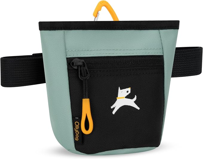 Goodie Treat Bag, Dog Treat Training Pouch | Magnetic Closure | 3 Ways to Wear | Hands-Free Waist Belt | Water-Resistant Recycled Vegan Fabric (Surf)