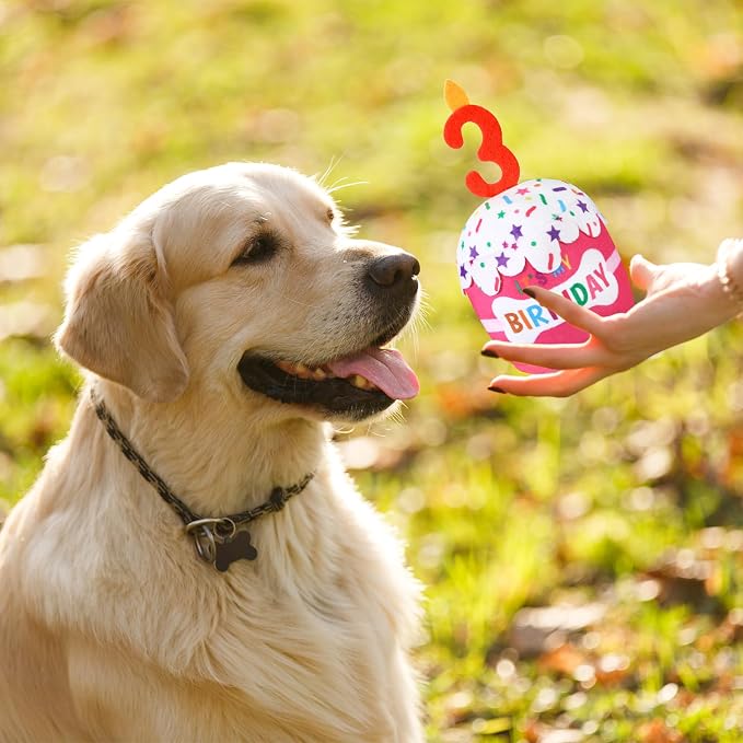 Dansydaisy Dog Birthday Cake Toy Accessories for Girl Boy Gifts, Squeaky Plush Toy for Dog Birthday Party Decor Favor for Large, Medium and Small Dogs(3rd,Pink)