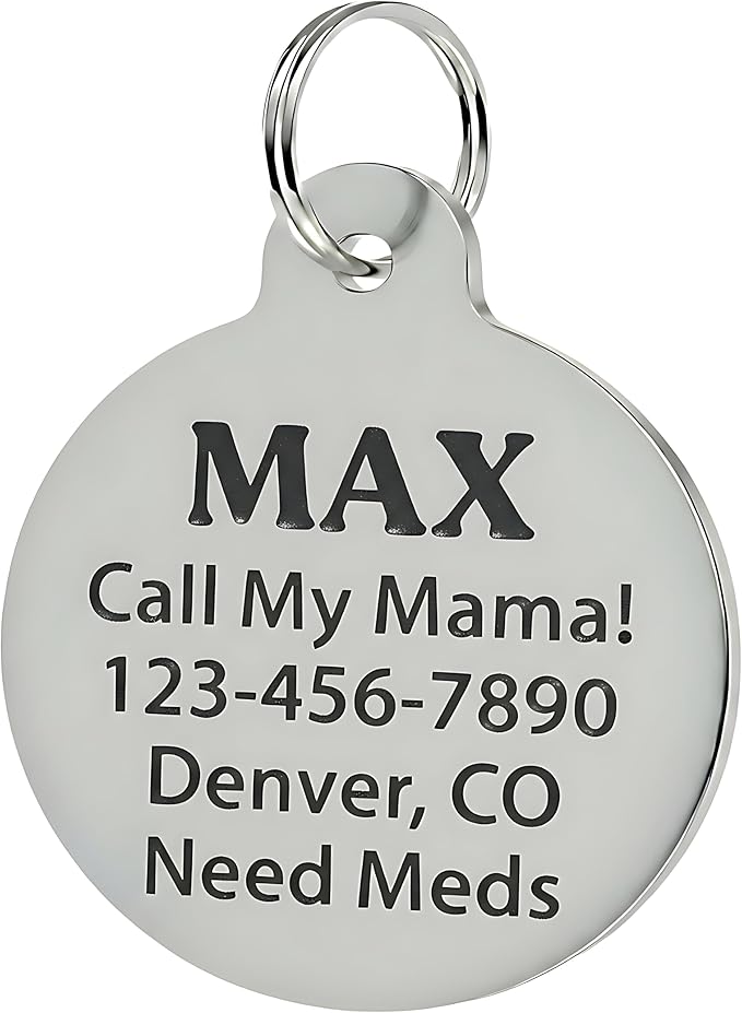 Bad Tags Personalized Dog and Cat ID Tags in 25+ Designs and 2 Sizes - 5 Lines of Custom Engraved Text - Funny Cute Personalized Pet Tags (Got Lost Lookin' for B*tches, Large (1.25 inch))