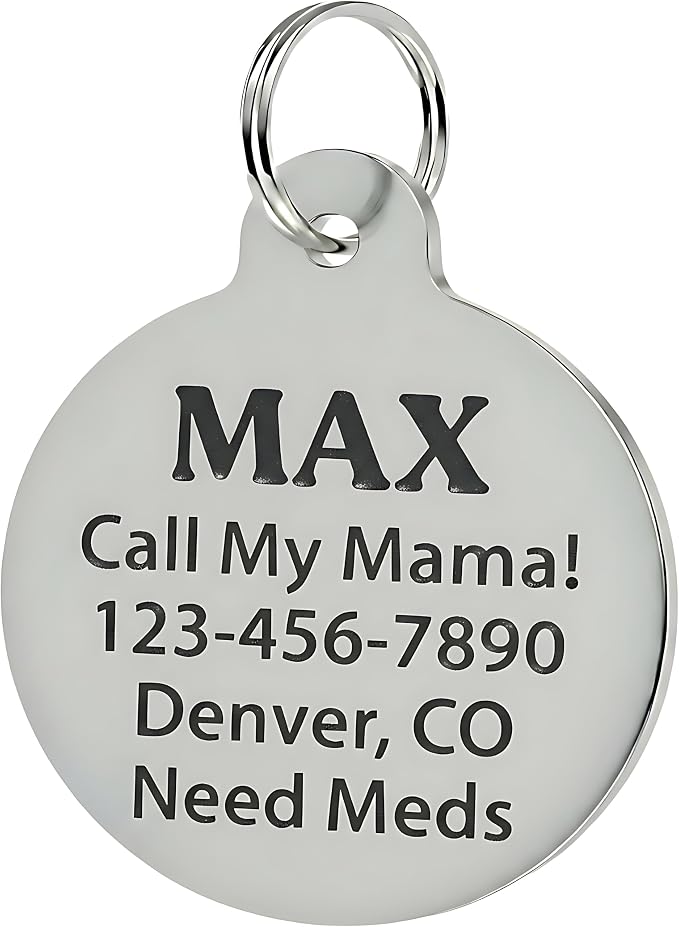 Bad Tags Personalized Dog and Cat ID Tags in 25+ Designs and 2 Sizes - 5 Lines of Custom Engraved Text - Funny Cute Personalized Pet Tags (Fast As F*ck, Large (1.25 inch))