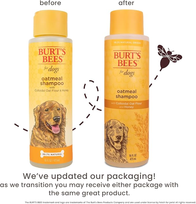 Burts Bees for Pets Oatmeal Dog Shampoo with Honey, Unscented, 16 Fl Oz | Soothing colloidal oat flour formula for itchy, sensitive dog skin, pH-balanced and sulfate-free for regular use
