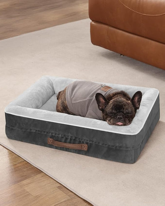 Upvilla Orthopedic Dog Bed, Four-Sided Cushioned Egg-Shaped Foam Dog Sofa, Waterproof Removable Cover, Cat Bed with Non-Slip Base, Small Pet Bed,Gray