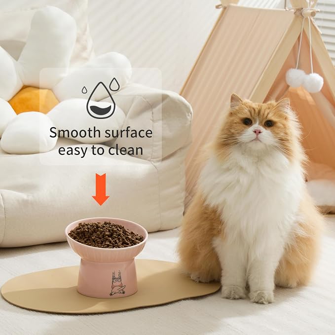 6.5 Inch Extra Wide Ceramic Raised Cat Bowls, Porcelain Tilted Elevated Cat Food Water Bowl Dish, Stress Free Pet Feeder Dishes for Cats & Small Dogs, Whisker Fatigue, White & Pink | Elevated Dishes, Prevent Neck, Whisker Fatigue, Anti Vomit, for Cats ...