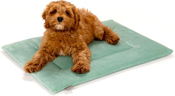 Dog Crate Pad - Soft Velvet, Reversible Bed - Machine Washable Kennel Mat for Pets up to 25 lbs - Mattress for Cozy Sleeping - 25” x 19” x 1” (Light Green, Medium)