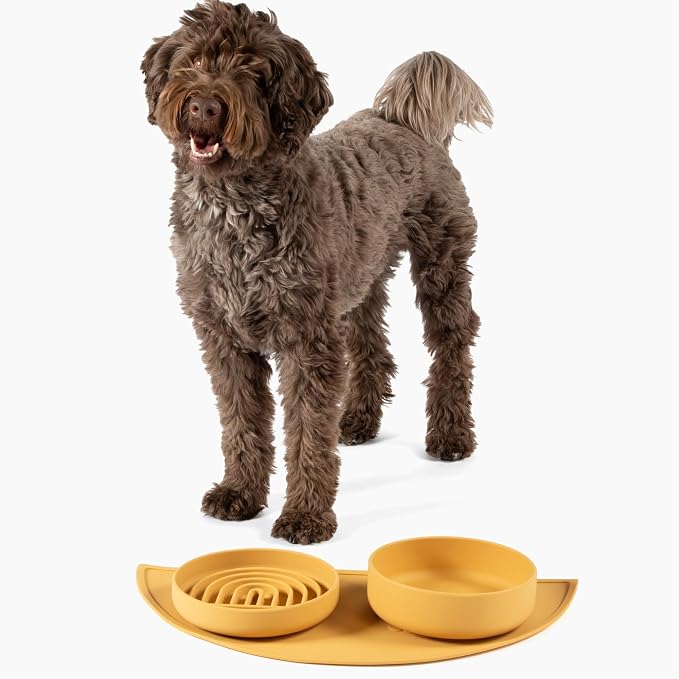 Should We Go? Slow Feeder Dog Bowls - Medium Size Silicone Slow Eating Dog Bowl for Puppies & Dogs with Suction Cup -Dishwasher-Safe, Lick Mat Design, Reduces Gulping,for All Breeds,7.5”x1.5”- Honey
