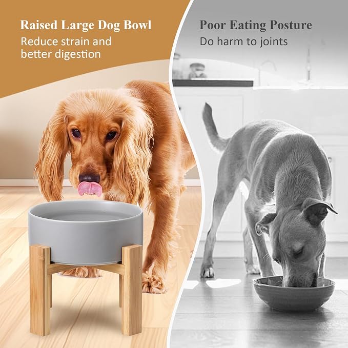 Elevated Ceramic Large Dog Bowl - Raised Dog Dish with Bamboo Stand - Heavy Weighted, No Tip Over, Comfortable Eating - 8.4" Diameter - 4.5 Cups - 68 fl oz - Grey