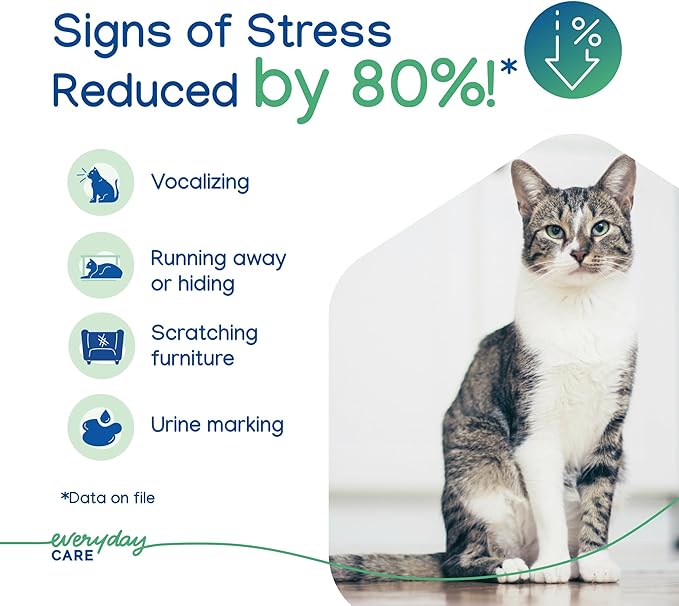 ZENIFEL Gel Diffuser Cat Calming Pheromone|Supports Stress Relief