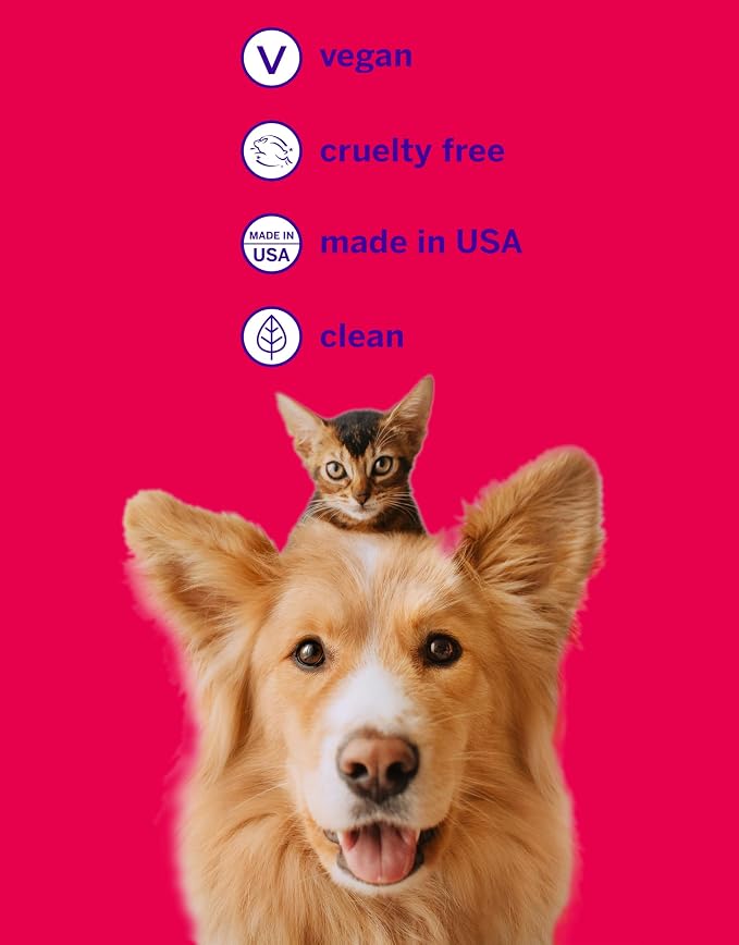 petsmile Professional Pet Teeth Brushing Kit for Cats & Dogs - VOHC Accepted Toothpaste & Patented Toothbrush - Proven to Control Plaque & Tartar Calprox Formula (Rotisserie Chicken, 4.2 Oz)