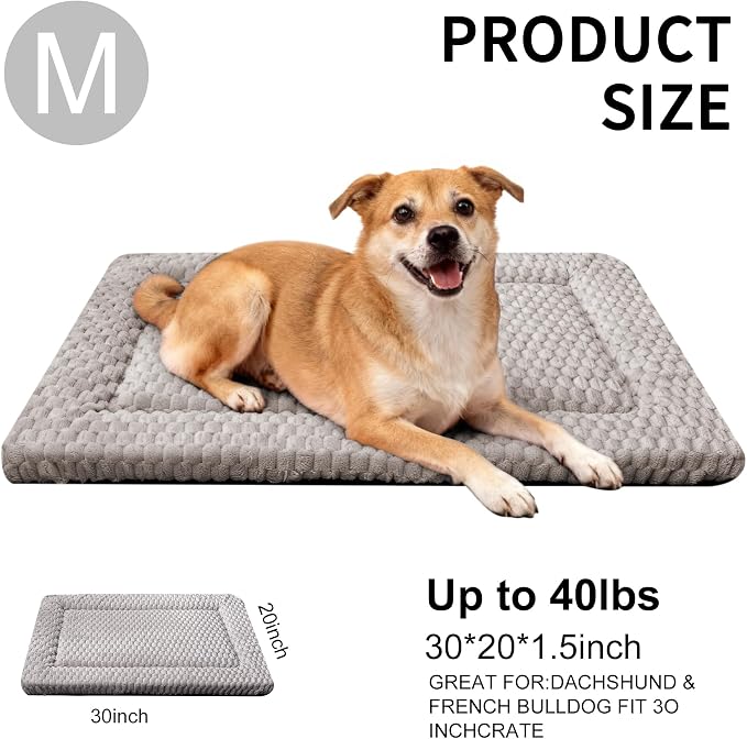 Dog Bed Mat - Dog Crate Pad - Reversible Mat for Pet Comfort - Soft Bed Crate Pads for All Seasons - Durable, Machine Washable Mat for Crates, Travel, and Home (Light Gray, 30" L*20" W*1.5" Th)
