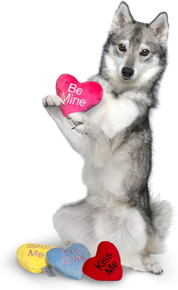Midlee Candy Heart Valentine's Dog Toy- Set of 4 (Small)