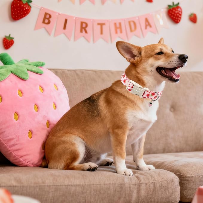 DOGWONG Cotton Handmade Daisy Flower Dog Collar Cute Pink Strawberries Dog Collars with Pendant for Girl Boy Dogs,XS