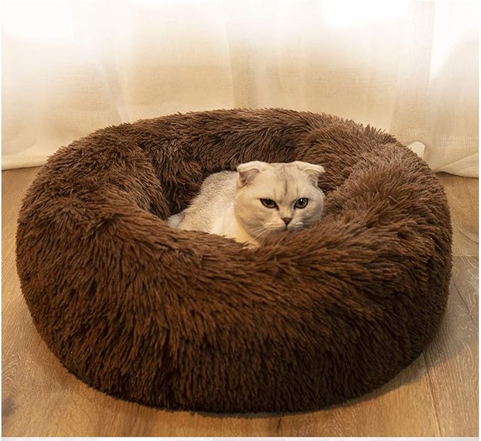 Modern Soft Plush Round Pet Bed for Cats or Small Dogs, Mini Medium Sized Dog Cat Bed Self Warming Autumn Winter Indoor Snooze Sleeping Cozy Kitty Teddy Kennel (24'' D x 8'' H, Chocolate)