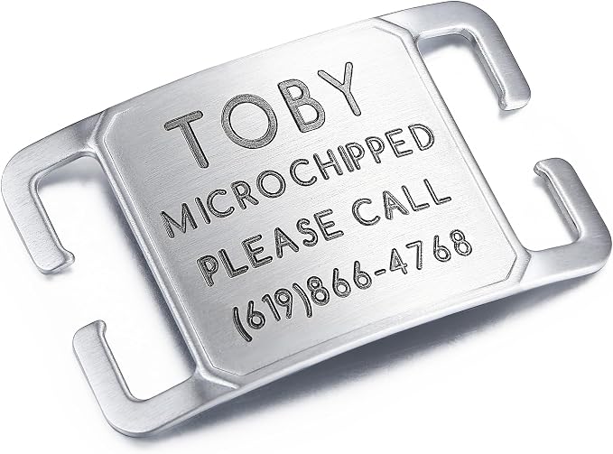 Rugged & Refined: Immovable Slide-On Pet ID Tag - Silent No-Noise Design - Deep Laser Engraved Horology-Grade Steel - Large | Brushed Stainless Steel