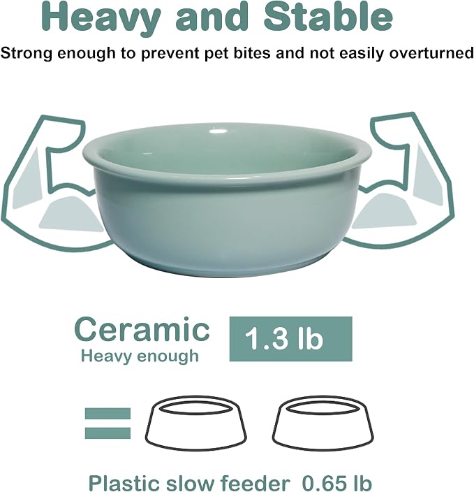 Ceramic Replacement Dog Bowl for Wordcam SS02 Model, 6.9"X2.6", Light Green | Food and Water Bowl Set, for Small Medium Cats, Pet Feeding Dishes for Dogs 20-35lbs, Thicker Ceramic, Anti-Skid, 28Oz/800ML
