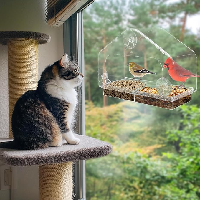 MEWTOGO Outdoor Window Bird Feeder for Cats Viewing, Large | Clear Bird Feeder with Strong Suction Cup, Cat Perch Accessories for Entertaining Watching