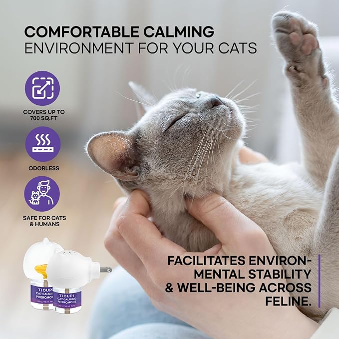 Cat Pheromones Calming Diffuser: 2 Diffusers & 2 Refills Top Value Kit – Cat Calming Diffuser Helps Reduce Scratching, Peeing, Meowing, Hiding, Urine Marking & Aggression