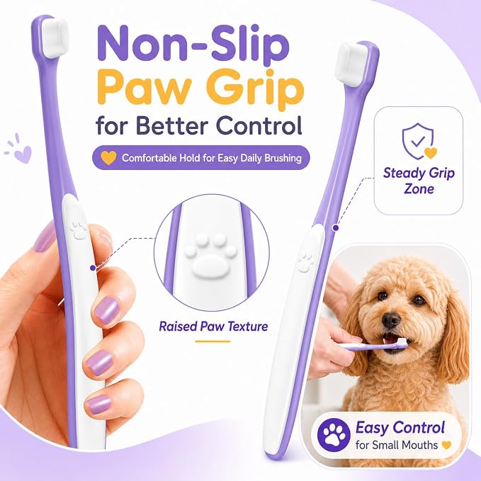 Small Dog Toothbrush, Mini Head, Soft Bristles, Under 30 lbs | Gentle Tiny Teeth Care. Curved Handle Reach. Soft Gum Comfort. Rubber Grip Control. Easy Daily Brushing.