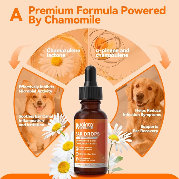Dog Ear Cleaner Drops for Infection Treatment | Vet Formulated Patented Quantum Silver Water-Based Drops Soothe Ear Itching, Irritation, Cleans Wax, Odor, 1 Fl Oz