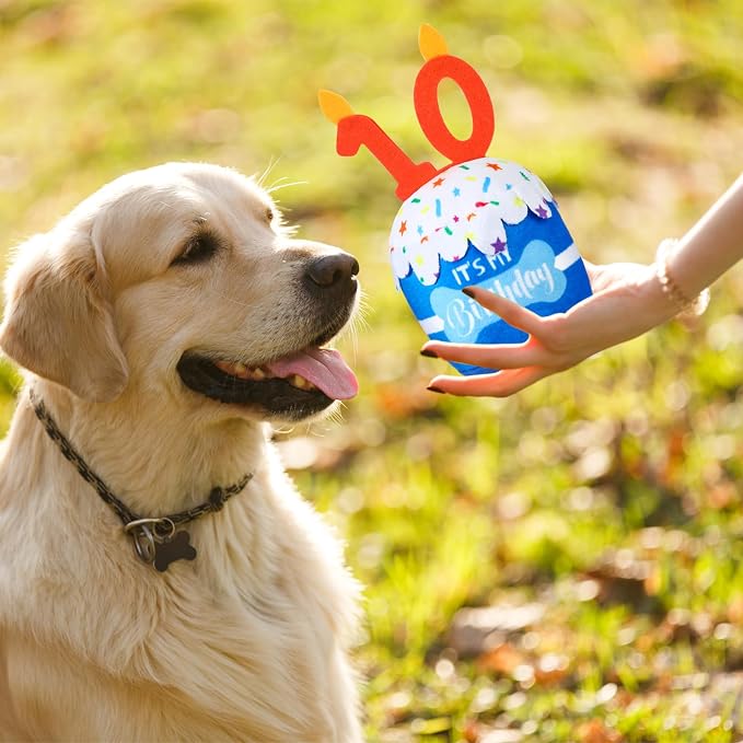 Dansydaisy Dog Birthday Cake Toy Squeaky Plush Toy for Girl Boy Gifts, Chew Accessories for Dog Birthday Party Decor Favor for Large, Medium and Small Dogs(10th,Blue)