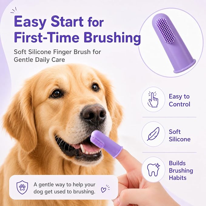 Dog Toothbrush Kit, 2.5oz Toothpaste, Dual-Head & Finger Brush | Gentle Dog Care. For Dogs Over 20 lb. Soft Brush Comfort. Coconut Chicken Flavor. Easy Daily Routine.