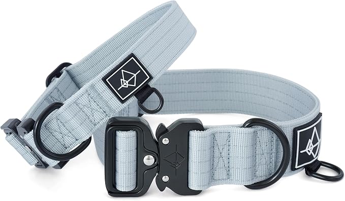 Made to ROAM Premium Dog Collar - Adjustable Heavy Duty Nylon Collar with Quick-Release Metal Buckle (Alaska Daybreak, Classic Size 4)
