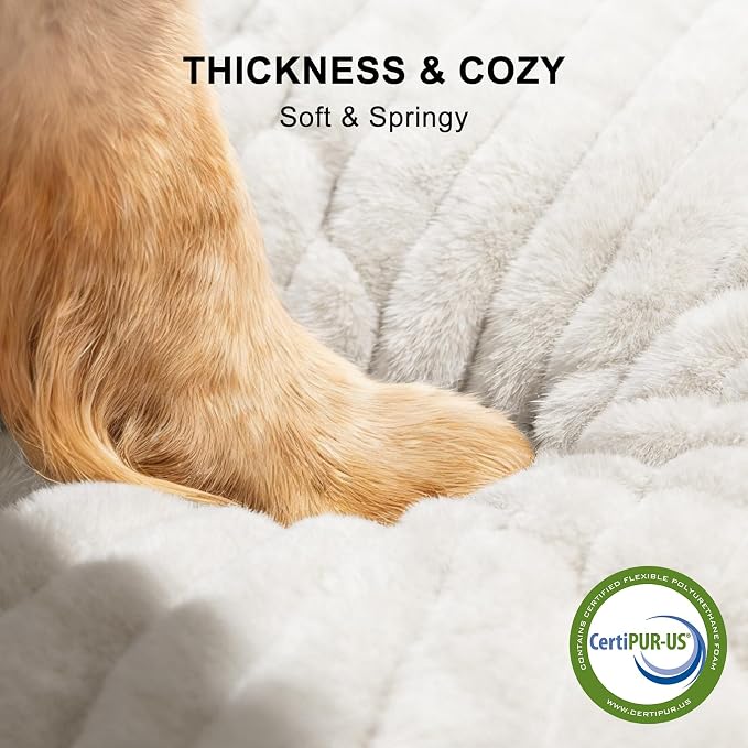 FURTIME Dog Bed for Small Medium Dog, Washable Orthopedic Pet Bed with Removable Cover, Rectangle Soft Calming Sleeping Puppy Bed Durable Pet Cuddler with Anti-Slip Bottom, Cream, M (25"x21"x7")