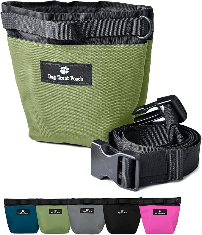 Dog Treat Pouch for Training, Magnetic Closure, Hands-Free (Green) | Dog Treat Bag, Holds Up to 2 Cups, Adjustable Waist Belt for Puppy Training & Walking