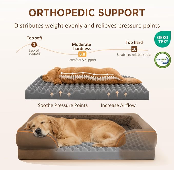 Comfort Expression Orthopedic Dog Beds for Large Sized Dog with Bolster | Waterproof Dog Couch Bed with Washable Cover & Non-Slip Bottom, Supportive Egg Crate Foam Large Pet Bed, 36x27 Inch