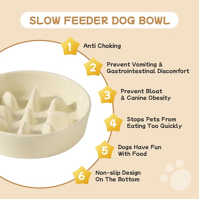 Havniva 6.1” Raised Slow Feeder Dog Bowls Set, 0.9 Cups Ceramic Slow Feeder Dog Bowl and 6.1” Dog Water Bowl with Elevated Wooden Stand Puzzle Dog Food Bowl for Small Dogs Anti-Gulping & Anti-Choking