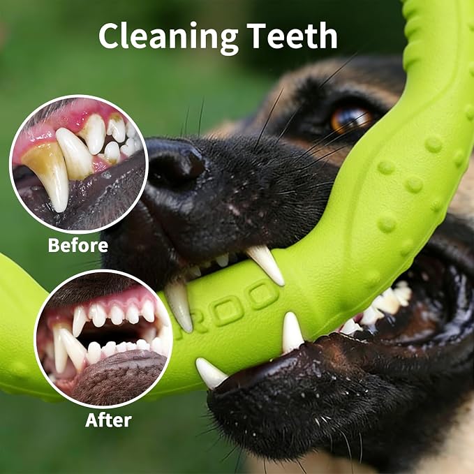 LaRoo Dog Ring Toy, Durable Soft Flying Disc for Throwing Catching Grabbing, Water Floating Dog Training Fetch Ring for Medium Large Breeds, Outdoor (Green/11.8Inch)