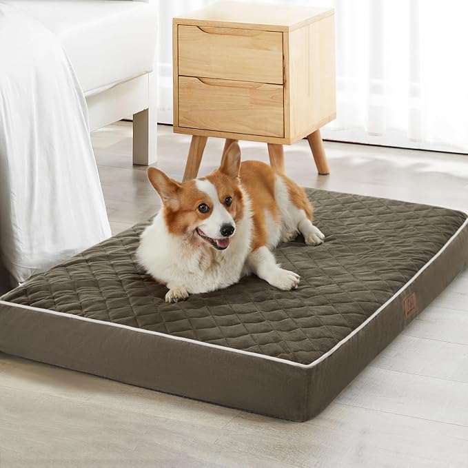 WNPETHOME Orthopedic XXL Dog Beds for Large Senior Dog Bed Comfy Sleeping | XXL Washable Waterproof Dogs Bed with Removable Cover, Multi-Needle Quilting Dogs Crate Bed for Relax , Dark Green 55x42 Inch