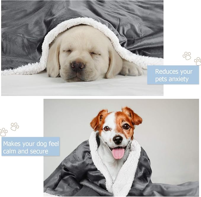 Kritter Planet Dog Blankets for Small Dogs, Soft Puppy Blanket, Pet Blankets for Cats, Lightweight & Washable, Perfect for Dog Beds, Car Seats, Creat, 30x40 inches
