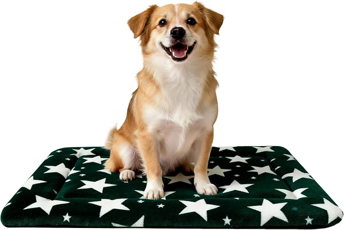 Dog Bed Mat – Soft & Comfortable Dog Kennel Pad for Crate – Durable Crate Bed & Mat for Dogs & Cats – Ideal for Crate, Kennel, and Home Use (Big&Little Stars Green, M(30"*20"*1.5"))