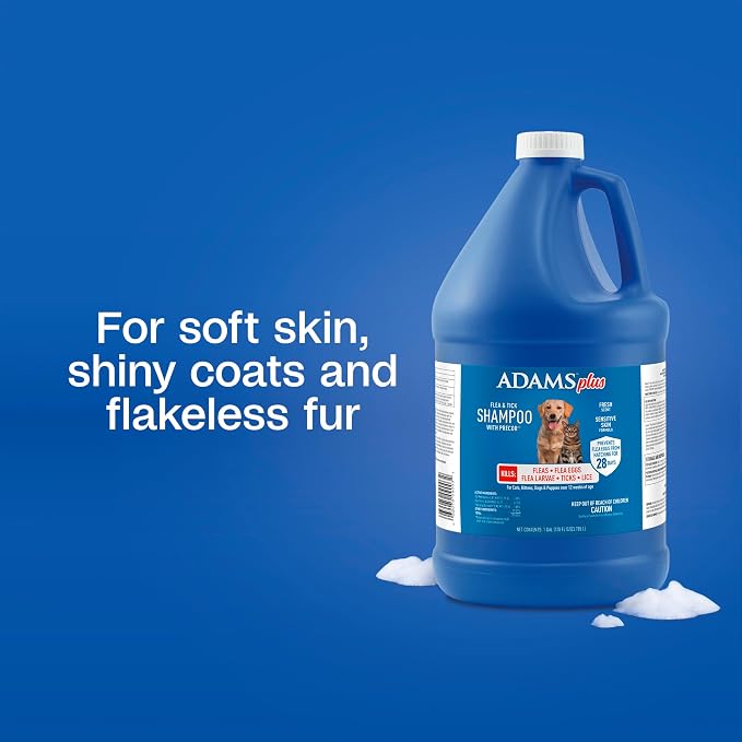 ADAMS Plus Flea & Tick Shampoo with Precor for Dogs, Cats, Puppies & Kittens, Flea Shampoo to Treat Infestations, Kills Ticks, Fleas, Flea Eggs & Lice, Cleans and Conditions Coat, 1 Gallon